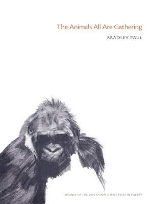 cover image of The Animals All Are Gathering
